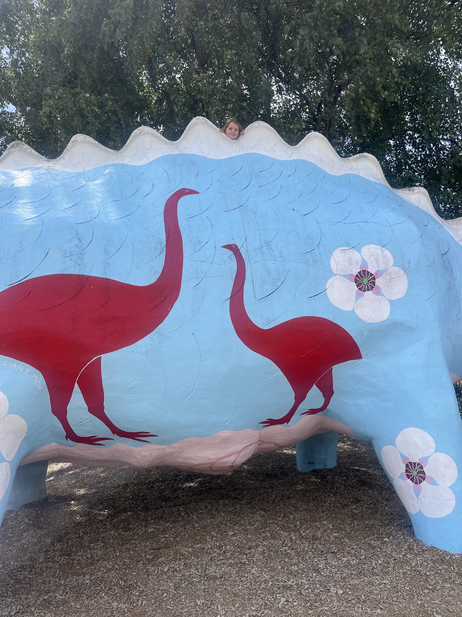 Wanaka Dinosaur Playground